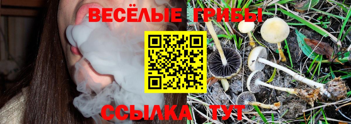 Киров  Псилоцибиновые грибы MAGIC MUSHROOMS  Вход с VPN 